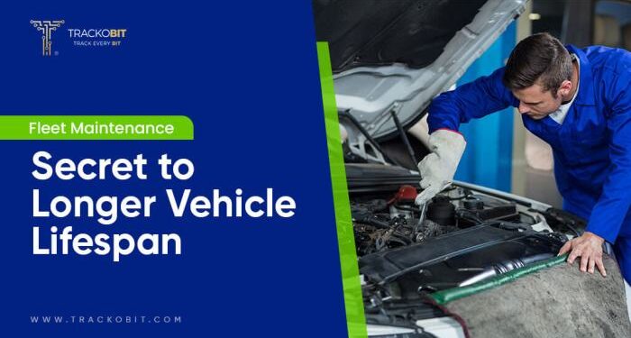 What is Fleet Maintenance? Benefits and Examples